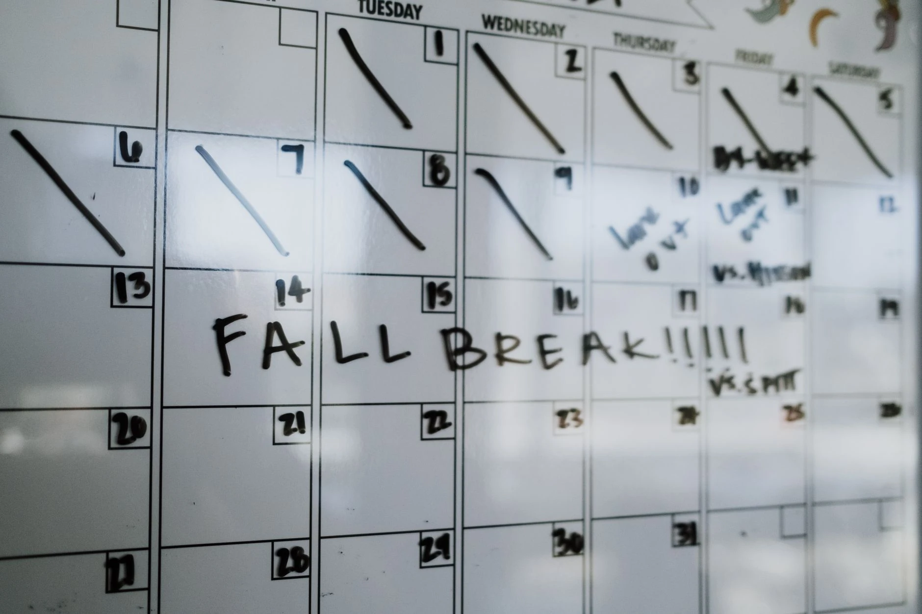 7-day plan to launch a cart abandonment popup before BFCM